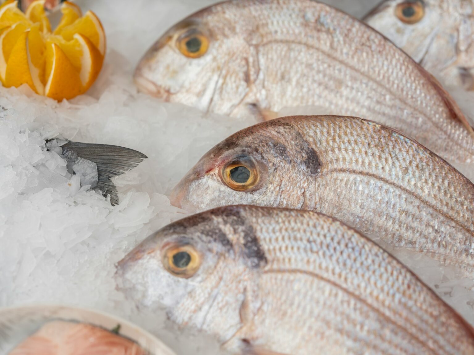 decongelation viande a l'air libre